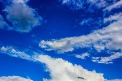 NUVENS